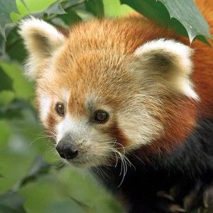 Meet your Posher, Jimena